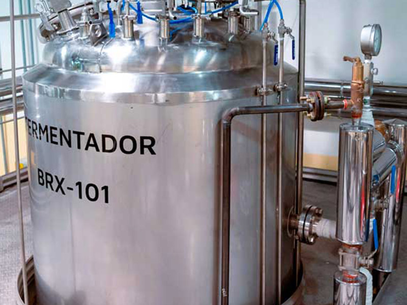 desplegables 2_0000s_0000_Planta piloto_02