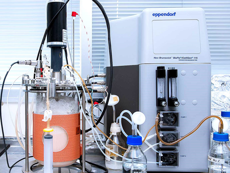 imagenes desplegables_0000s_0007_Fermentacion_03