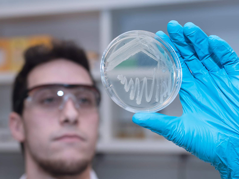 imagenes desplegables_0000s_0009_Plataforma de Biología Sintética 5